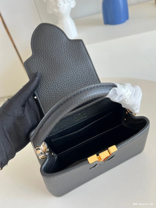 Aaa replica bags CAPUCINES MINI LOUIS VUITTON 0825